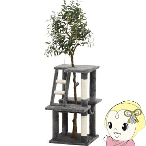 Lbg^[ Lpi ߂Ƃ ˂̋x } Lbgc[ O[y/srmz