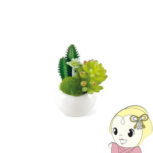 【2/1限定エントリーで当店全品最大P7倍】キシマ Succulent Refrerium サキュレントリフレリウム 消臭アーティフィシャルグリーン KH-60983