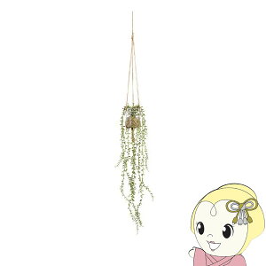 y2/1Gg[œXSiőP7{zLV} GNA LA[eBtBVO[ nMO^Cv