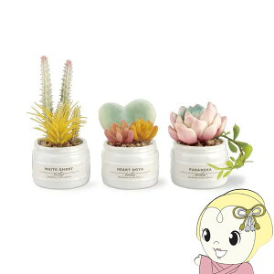 y11/1Gg[œXSiőP7{zy2/1Gg[œXSiőP7{zLV} Eclia GNA LA[eBtBVO[ 3Zbg KH-61188