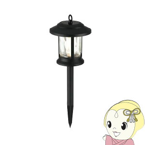 y12/5͊ԌN[|szy2/1Gg[œXSiőP7{zLV} Vbe \[[K[fCg ubN