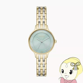 SKAGEN（スカーゲン） 腕時計「ANITA LILLE」 ステンレス ブレスレットウォッチ シルバー SKW3132【/srm】