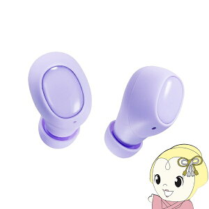 �y3/10�͊��Ԍ���N�[�|�����s�z���S���C�����X�C���z�� �A�N�Z�X B-niko �r�[�j�R AH-TWS03 �p�[�v��