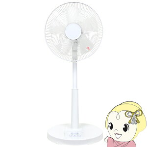 y11/15͊ԌN[|szrO@ [s[ ZEPEAL zCg DL-J100Py/srmz