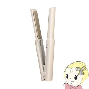 �e�X�R�� TESCOM USB���o�C�� �w�A�A�C���� �X�g���[�g�A�C���� �C�O�Ή� �g�їp ���s ���o�C���o�b�e���[�Ή� �p�[���O���[�W�� TS310A-C