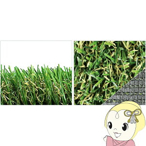 y12/5͊ԌN[|szlH [^[t25mm MT25-0110 iϗp ŏ25mm 1m×10m m1[Pʁny/srmz