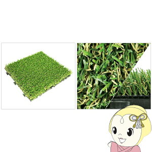 lH [^[tXNGA MTSQ-09 p ŏ25mm 30cm×30cm WCg ^CmP[XPʁn9Zbg/P[Xy/srmz