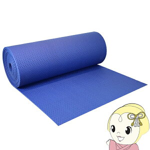 y12/5͊ԌN[|szlHŐpA_[pbh 1m×10m diy ^tpbh  [^[t lH LbYXy[X TP-0110y/srmz