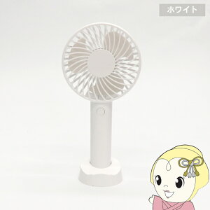 y݌ɂznfBt@ qER[|[V M[^Cv USB-C[d 3iK zCg @ HDL-4027y/srmz