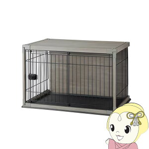 y11/25N[|szACXI[} p CeAEbfBT[N AbVO[y/srmz