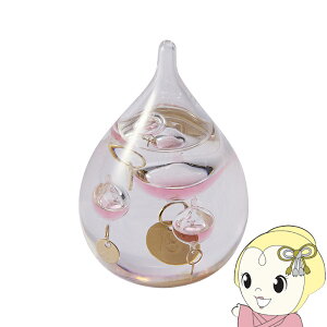 y12/5͊ԌN[|szy݌ɂzJY KXt[gxv SS sN KIxv   Mtg v[g