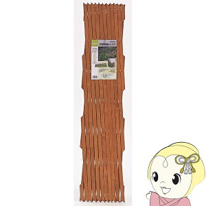 y11/10͊ԌN[|sz^JV[ ؐ Lk gX Jg[Ebh 80×200cm WT-208C