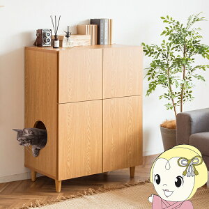 y11/15͊ԌN[|szLbggC gCN[[bg gCB L gC Jo[ rO S  [ LgCN[[bg Galetta i`y/srmz