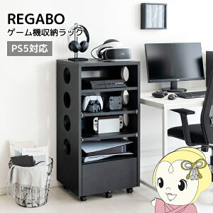 y11/25N[|szQ[@bN [ Q[~O   I[vbN LX^[t REGABO PS5Ή vXe5[ ubNy/srmz