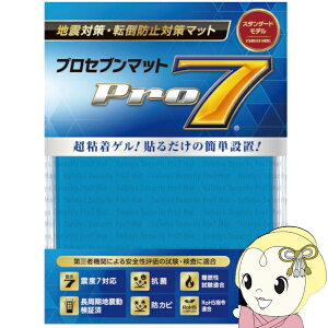 【期間限定クーポン発行】プロセブン Pro7 耐震マット プロセブンマット 100ミリ角 1枚入り P-N1001L