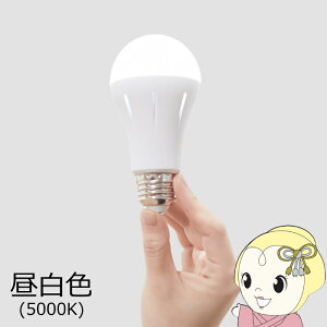 ���{�h�ЃX�L�[�� ���ł������vtsuita �����F 5000K 50W���� E26NW50WS