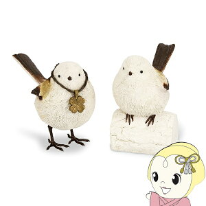 y12/5͊ԌN[|szLV} K[fjO I[ig G V}GiK 2HZbg u   킢 zCg KH-61349