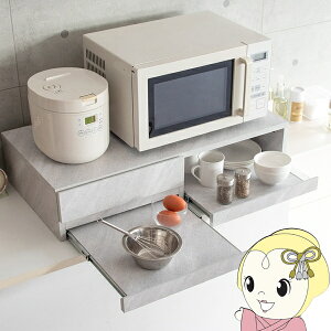 y11/15͊ԌN[|szWg[ W o WbN XChg[ XChe[u Avenir Axj[ 嗝Ε TY-003 zCgy/srmz