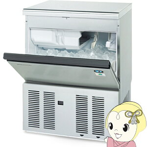 【メーカー直送/車上渡し/時間指定不可】自然冷媒製氷機 ホシザキ IM-45M-NA アンダーカウンタータイプ 全自動製氷機 大容量 45kg【/srm】