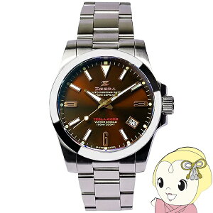 y݌ɋ͏zZEEDAiW[_j Yrv uTESLA-CODEv XeX 10Ch  38mm TES-BRN `R[guEy/srmz