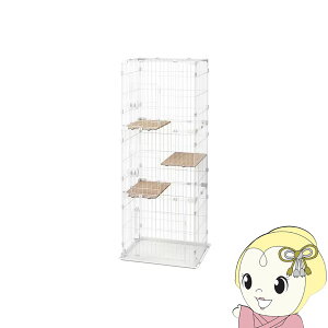 y11/15͊ԌN[|szACXI[} RpNgLbgP[W3i i` CCC-168-NTy/srmz