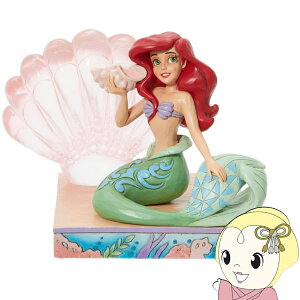 y11/10͊ԌN[|szenesco GlXR tBMA fBYj[EgfBV AG NAVF 6011923y/srmz