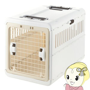 y11/18_ChȂ瓖XSiőP8{zb`F LsOL[ ܂ L ^`^p / ^ ^ ^ ̏dڈ`20kg AC{[ 059938y/srmz