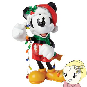 y12/5͊ԌN[|szenesco GlXR tBMA zf[ ~bL[ fBYj[ 6015326y/srmz