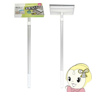 y11/5͊ԌN[|szփ^CuVX|WF AZ294 i{̐FFCgO[AX|WFFO[jAZ294 AY}H