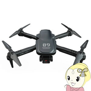 �y�݌ɂ���z�y1/10�͊��Ԍ���N�[�|�����s�z�h���[�� G-FORCE �W�[�t�H�[�X DE:LIGHT �f�B���C�g RTF�Z�b�g2.4GHz 4CH Wi-Fi�J�������� �N�A�b�h�R�v�^�[ �d��99g �K�����^�� GB340�y/srm�z