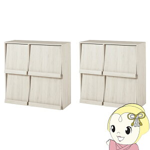 y11/15͊ԌN[|szfBXvCbN 2Zbg tbv A\ 85 {I VFt }KWbN A4  t@C CD DVD [ bN zCgy/srmz