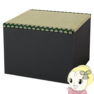 y11/25N[|sz[ オ 60×60cm 45cm t[Xc[ ` Xc[ x` xbh [Xc[ [{bNX   ubNy/srmz