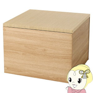 yGg[œXSiőP10{ 9/4 20~9/11 1:59z[ オ 60×60cm 45cm t[Xc[ ` Xc[ x` xbh [Xc[ [{bNX   i`