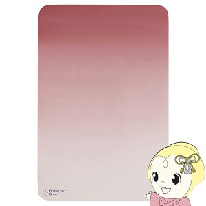 y11/15͊ԌN[|szv|[V`FA}bg 60×90cm fXN}bg ی}bg YȂ ֎q   h~ ݑΖ z 􂦂 sN