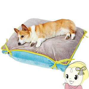 yԌN[|szy݌Ɍzybgpr[Yxbh yeBI (Petio) zuttone QSn₳bNXr[Yxbh 􂦂h}bgt TCY p Lp W25769y/srmz