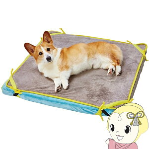 yԌN[|szybgpxbh yeBI (Petio) zuttone QԂ肪ł₷t@Co[xbh 􂦂h}bgt ybgp TCY W25772