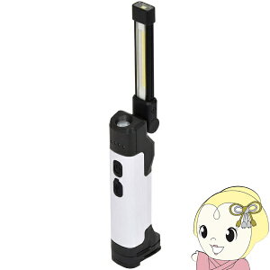 y12/5͊ԌN[|szH [d LEDnfBCg WbNv 3W LEH-B3W24CHy/srmz