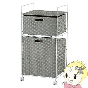 y11/20N[|szh[bN ^  oXPbgbN LX^[S ʃbN Vv  X ȒPg O[ 40cmy/srmz