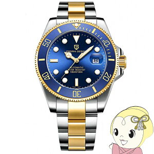 y11/1Gg[œXSiőP7{zrv Y PAGANI DESIGN PD-1639  t\ 43mm u[ Rr pK[jfUCy/srmz