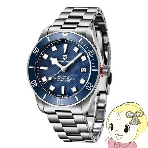 y11/10͊ԌN[|szrv Y PAGANI DESIGN PD-1671  u[ 42mm t\ 10Ch  pK[jfUCy/srmz