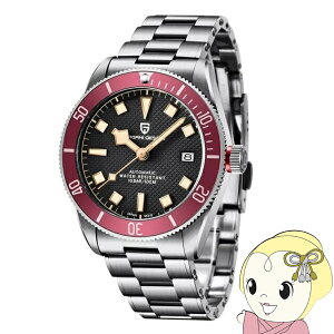 y11/1Gg[œXSiőP7{zrv Y PAGANI DESIGN PD-1671  bhx[ 42mm t\ 10Ch  pK[jfUCy/srmz