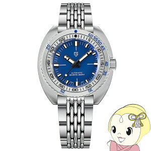 rv Y PAGANI DESIGN PD-1719  42.7mm u[ pK[jfUCy/srmz