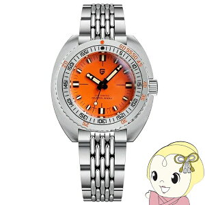 y11/10͊ԌN[|szrv Y PAGANI DESIGN PD-1719  42.7mm IW pK[jfUCy/srmz