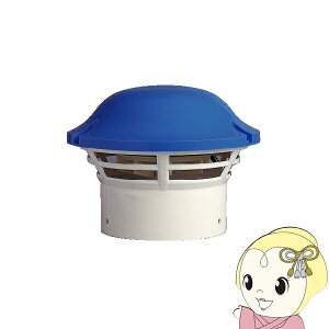 y11/1Gg[œXSiőP7{z{Y gCpC [` T-100 ^[{t@irCj