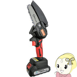 y11/25N[|sz[dnfB[\[ K[fjO\[ `F[\[ }؂Y A~Xy/srmz