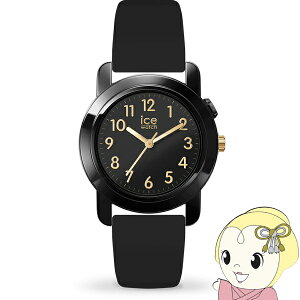 rv ACXEHb` v LbY q fB[X 024917 ICE FIND ACXt@Ch ubNS[h Small (34mm) 3jy/srmz