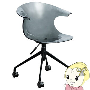 y11/25N[|szfXN`FA ItBX`FA ֎q `FA[ ToisigCXj LX^[t ʍ44.5`49.5cm  킢 ubN y/srmz