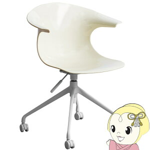 y12/1Gg[œXSiőP7{zfXN`FA ItBX`FA ֎q `FA[ ToisigCXj LX^[t ʍ44.5`49.5cm  킢 N[y/srmz