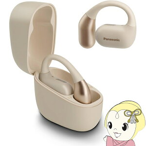 CXCz pi\jbN Panasonic I[v^ }`|Cg N[ RB-F10D-Cy/srmz