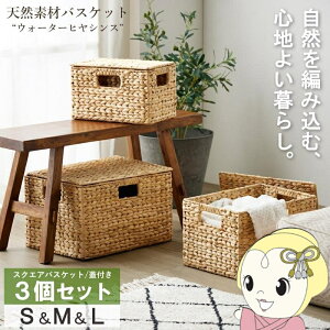 y12/1Gg[œXSiőP7{zVRf oXPbg EH[^[qVX S/M/L XNGA 3Zbg ӂt  JS IW-12y/srmz